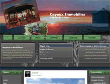 Tablet Screenshot of cayeux-immobilier.fr
